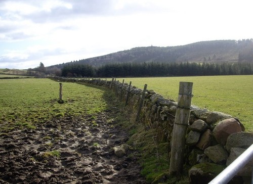 Photo 6x4 field boundary - photo,
