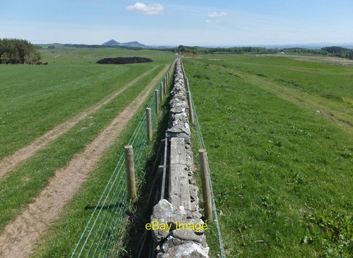 Photo 12x8 crossing - photo, wall