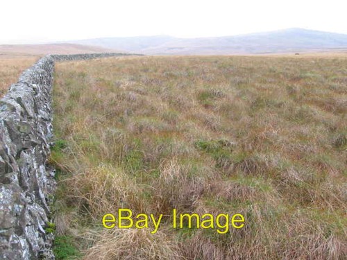 Photo 6x4 wall white - photo,